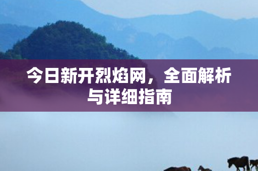今日新开烈焰网，全面解析与详细指南