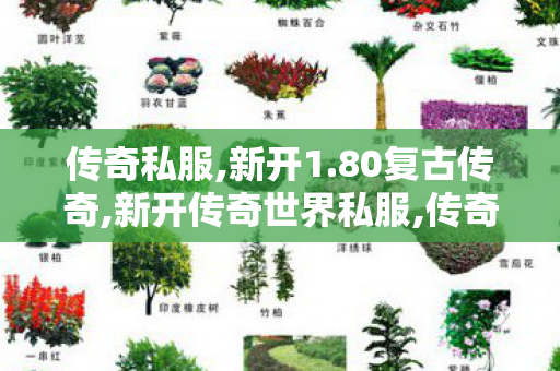 传奇私服,新开1.80复古传奇,新开传奇世界私服,传奇世界新开服网站,新开传奇世界私服