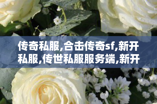 传奇私服,合击传奇sf,新开私服,传世私服服务端,新开私服