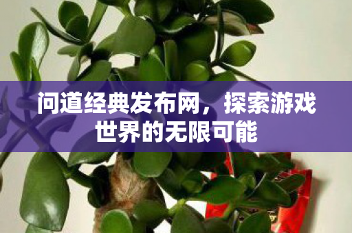 问道经典发布网，探索游戏世界的无限可能