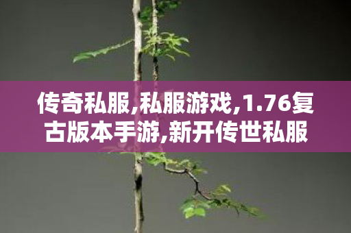 传奇私服,私服游戏,1.76复古版本手游,新开传世私服中变,1.76复古版本手游