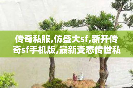 传奇私服,仿盛大sf,新开传奇sf手机版,最新变态传世私服,新开传奇sf手机版