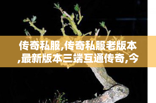 传奇私服,传奇私服老版本,最新版本三端互通传奇,今天新开传奇999网站,最新版本三端互通传奇
