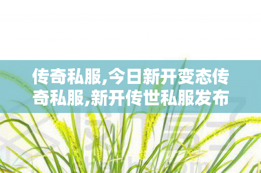 传奇私服,今日新开变态传奇私服,新开传世私服发布网,sf今日新开传奇,新开传世私服发布网