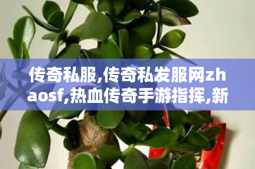 传奇私服,传奇私发服网zhaosf,热血传奇手游指挥,新开传奇私服网,热血传奇手游指挥