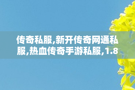 传奇私服,新开传奇网通私服,热血传奇手游私服,1.85版本传奇私服,热血传奇手游私服