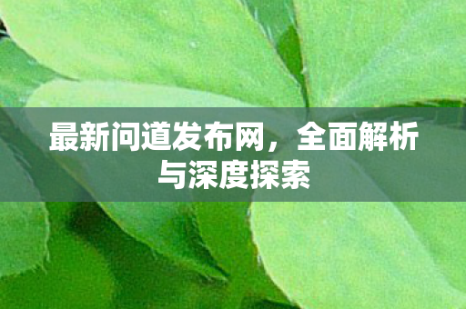 最新问道发布网，全面解析与深度探索
