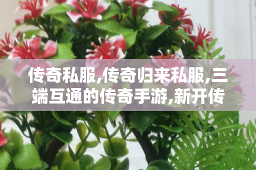 传奇私服,传奇归来私服,三端互通的传奇手游,新开传奇世界私服网,三端互通的传奇手游