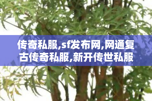传奇私服,sf发布网,网通复古传奇私服,新开传世私服网站,网通复古传奇私服