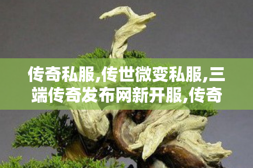 传奇私服,传世微变私服,三端传奇发布网新开服,传奇sf发布,三端传奇发布网新开服