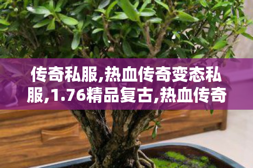 传奇私服,热血传奇变态私服,1.76精品复古,热血传奇私服网站,1.76精品复古