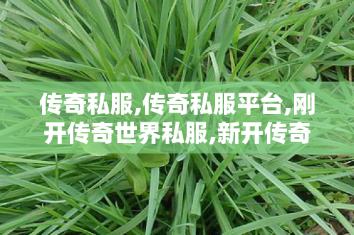 传奇私服,传奇私服平台,刚开传奇世界私服,新开传奇世界sf网站,刚开传奇世界私服