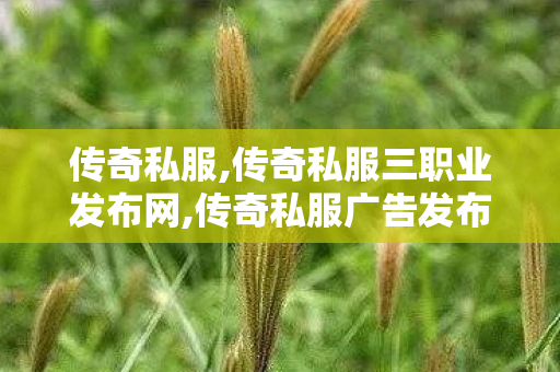 传奇私服,传奇私服三职业发布网,传奇私服广告发布,倚天传奇私服,传奇私服广告发布
