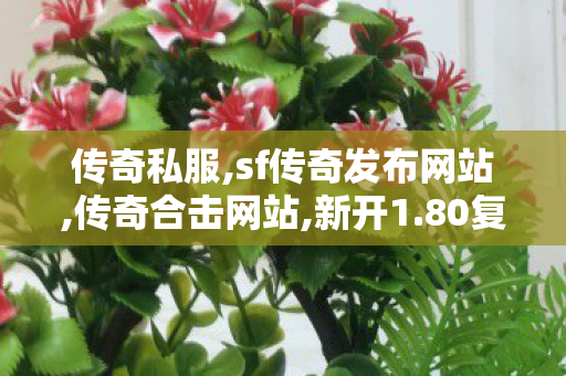 传奇私服,sf传奇发布网站,传奇合击网站,新开1.80复古传奇,传奇合击网站