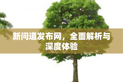 新问道发布网，全面解析与深度体验