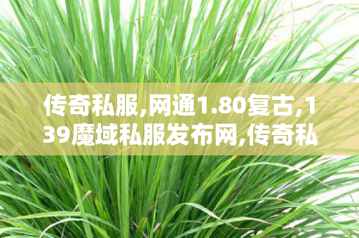 传奇私服,网通1.80复古,139魔域私服发布网,传奇私服发布网44,139魔域私服发布网