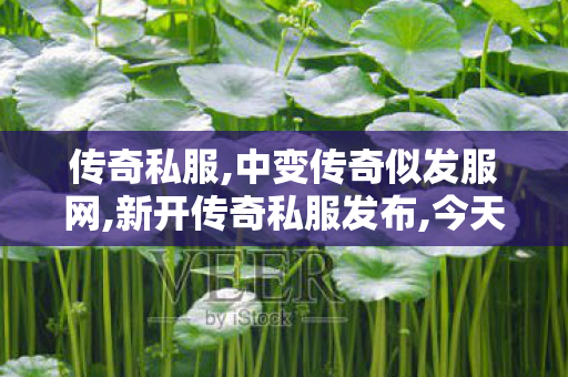 传奇私服,中变传奇似发服网,新开传奇私服发布,今天新开传奇sf,新开传奇私服发布