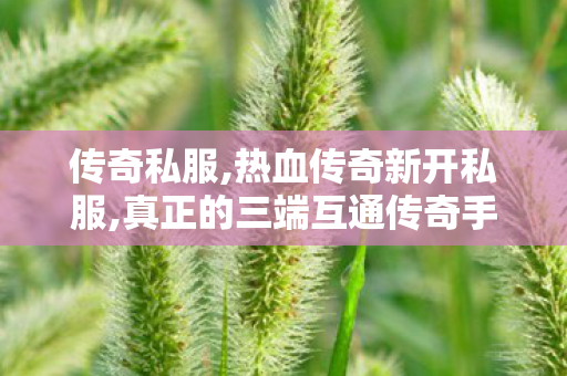 传奇私服,热血传奇新开私服,真正的三端互通传奇手游,新开传奇世界私服,真正的三端互通传奇手游