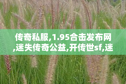 传奇私服,1.95合击发布网,迷失传奇公益,开传世sf,迷失传奇公益