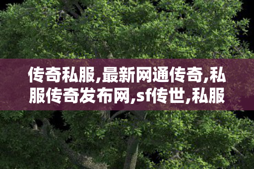 传奇私服,最新网通传奇,私服传奇发布网,sf传世,私服传奇发布网