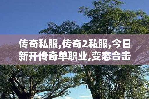 传奇私服,传奇2私服,今日新开传奇单职业,变态合击传奇,今日新开传奇单职业