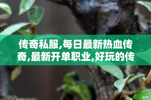 传奇私服,每日最新热血传奇,最新开单职业,好玩的传奇私服,最新开单职业