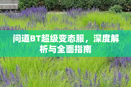 问道BT超级变态服，深度解析与全面指南