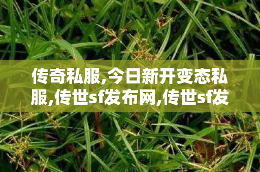 传奇私服,今日新开变态私服,传世sf发布网,传世sf发布网站,传世sf发布网