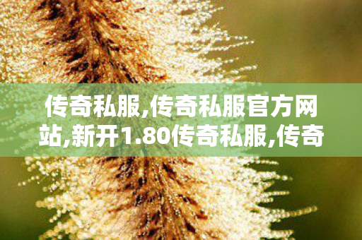 传奇私服,传奇私服官方网站,新开1.80传奇私服,传奇新开网站sf,新开1.80传奇私服
