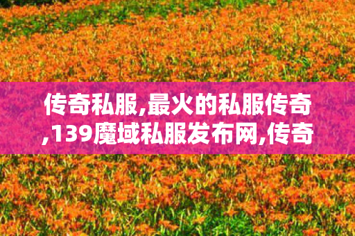 传奇私服,最火的私服传奇,139魔域私服发布网,传奇私发网,139魔域私服发布网