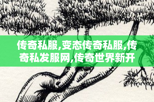 传奇私服,变态传奇私服,传奇私发服网,传奇世界新开,传奇私发服网