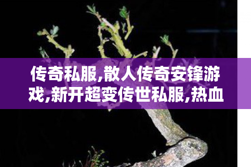 传奇私服,散人传奇安锋游戏,新开超变传世私服,热血传奇私服网,新开超变传世私服