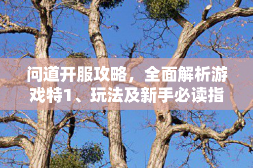 问道开服攻略，全面解析游戏特1、玩法及新手必读指南