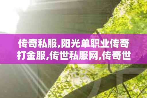 传奇私服,阳光单职业传奇打金服,传世私服网,传奇世界3d,传世私服网