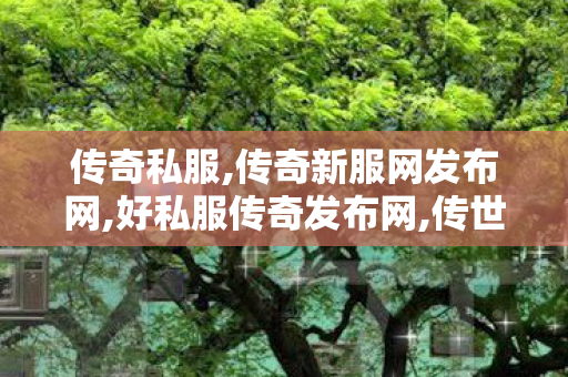 传奇私服,传奇新服网发布网,好私服传奇发布网,传世sf技巧,好私服传奇发布网