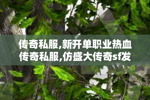 传奇私服,新开单职业热血传奇私服,仿盛大传奇sf发布网,传奇世界复古版本攻略,仿盛大传奇sf发布网