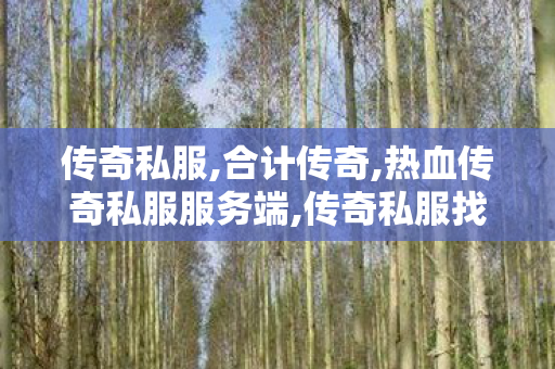 传奇私服,合计传奇,热血传奇私服服务端,传奇私服找服网,热血传奇私服服务端