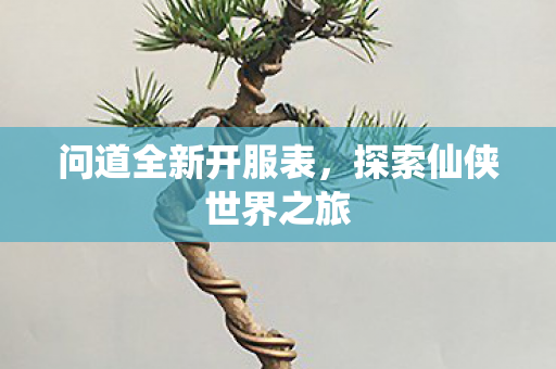 问道全新开服表，探索仙侠世界之旅