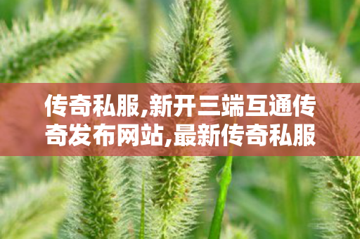 传奇私服,新开三端互通传奇发布网站,最新传奇私服发布网站,传奇世界中变sf发布,最新传奇私服发布网站