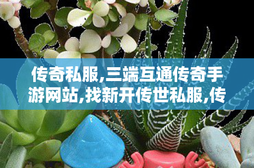 传奇私服,三端互通传奇手游网站,找新开传世私服,传奇变态合击私服网,找新开传世私服