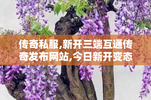 传奇私服,新开三端互通传奇发布网站,今日新开变态传奇,最新传奇合击,今日新开变态传奇