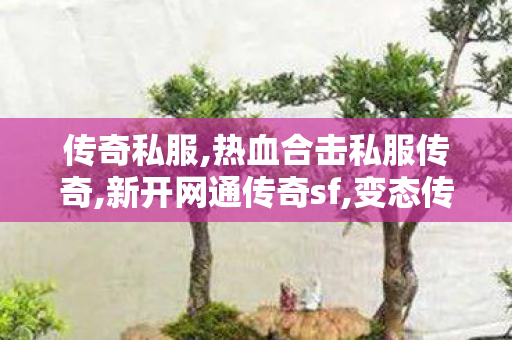 传奇私服,热血合击私服传奇,新开网通传奇sf,变态传奇私发服网sf,新开网通传奇sf