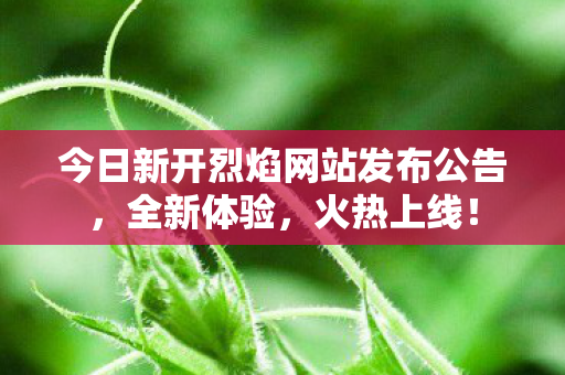 今日新开烈焰网站发布公告，全新体验，火热上线！