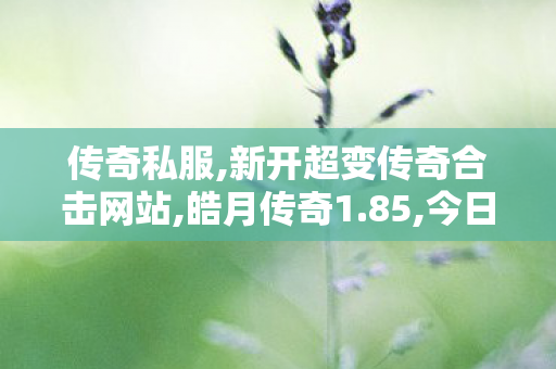 传奇私服,新开超变传奇合击网站,皓月传奇1.85,今日新开传奇私发服网,皓月传奇1.85