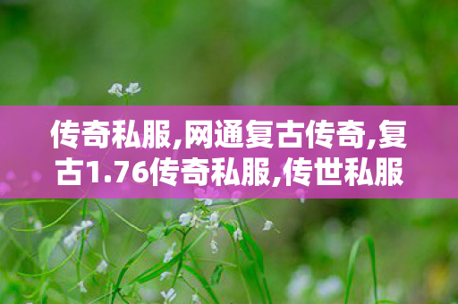 传奇私服,网通复古传奇,复古1.76传奇私服,传世私服发布站,复古1.76传奇私服