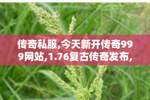 传奇私服,今天新开传奇999网站,1.76复古传奇发布,新开传世,1.76复古传奇发布
