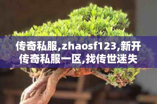 传奇私服,zhaosf123,新开传奇私服一区,找传世迷失,新开传奇私服一区