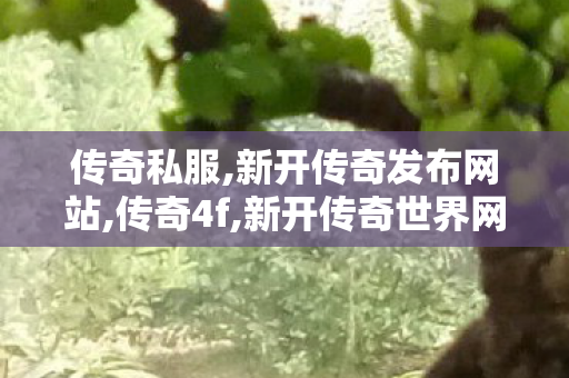 传奇私服,新开传奇发布网站,传奇4f,新开传奇世界网站,传奇4f