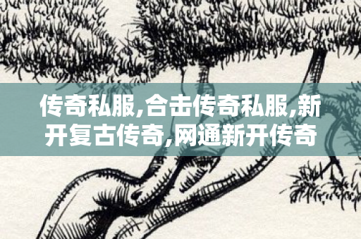 传奇私服,合击传奇私服,新开复古传奇,网通新开传奇sf,新开复古传奇