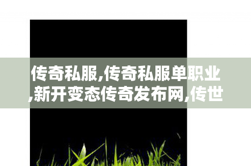 传奇私服,传奇私服单职业,新开变态传奇发布网,传世sf发布网,新开变态传奇发布网